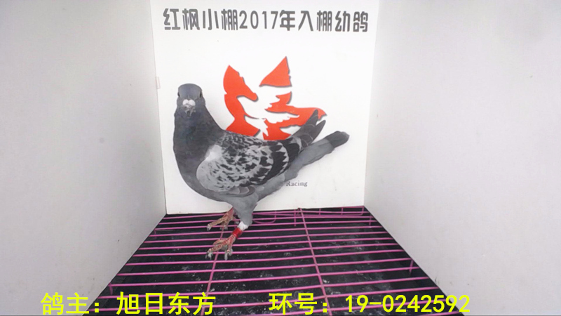4168 