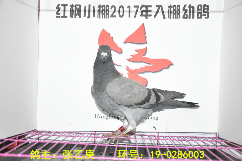 2079 