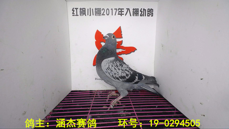 1058 