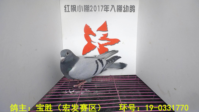 1026 