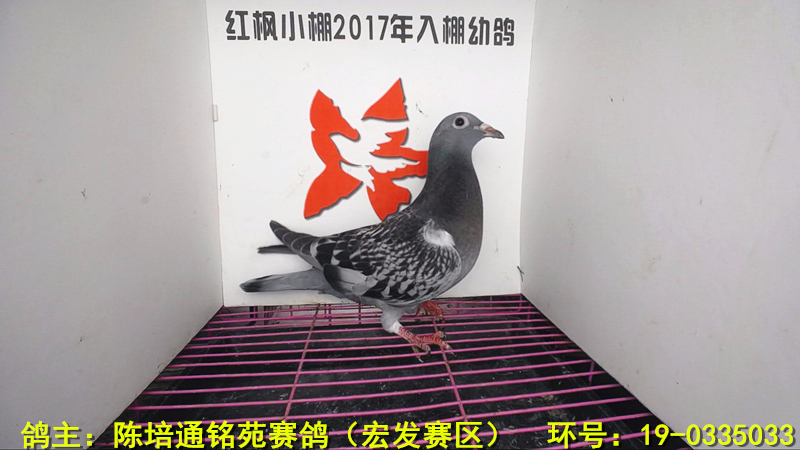 5776 