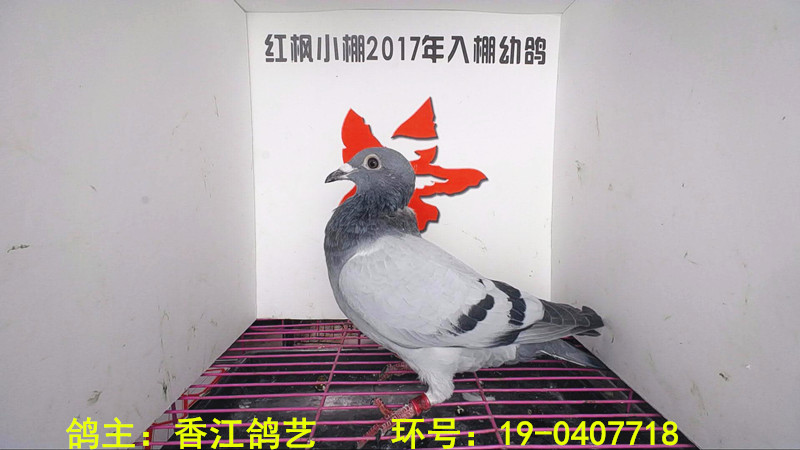 1522 