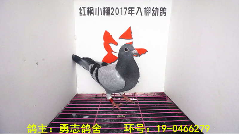 2269 