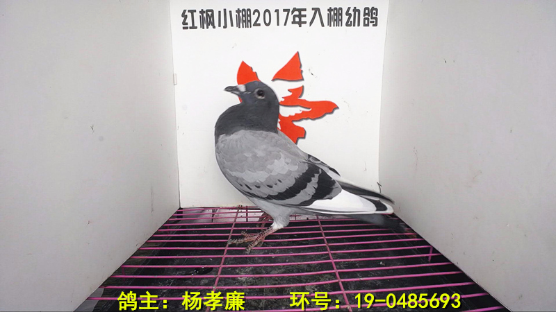 3763 