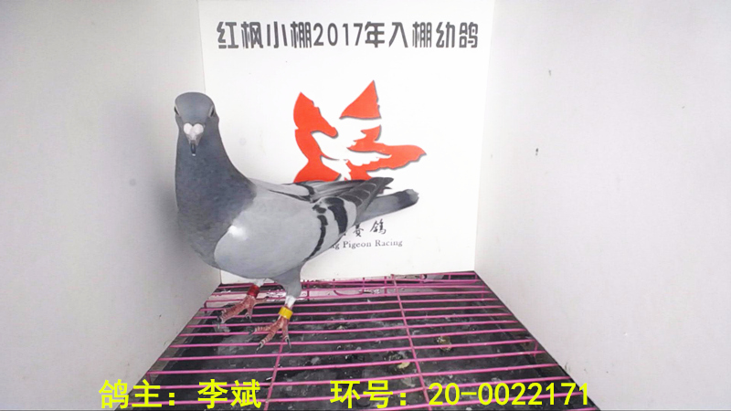 5123 