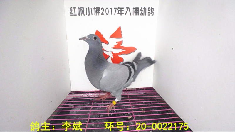 6490 