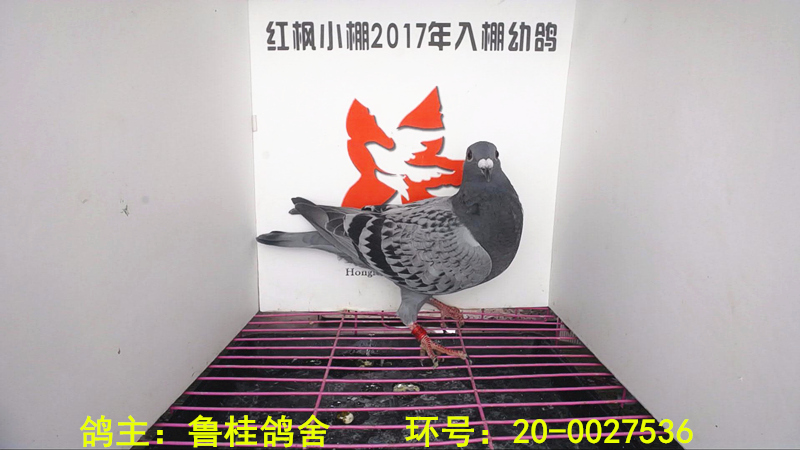 2532 