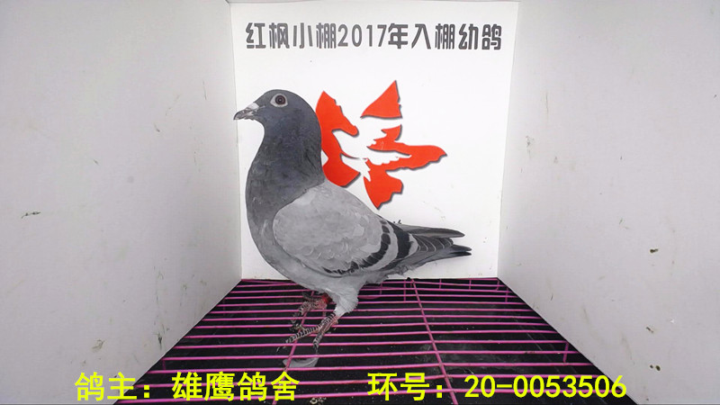 4664 