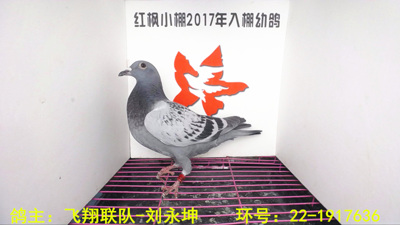 1364 