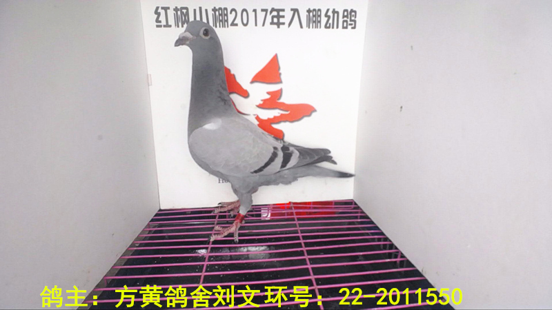 4078 