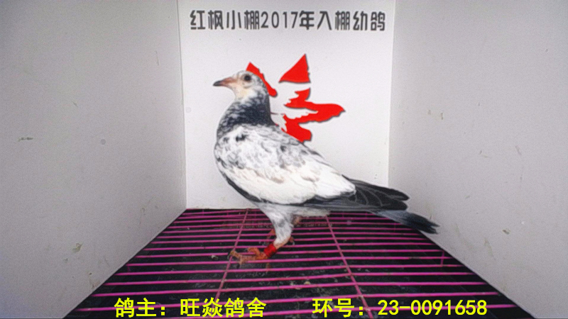 6391 