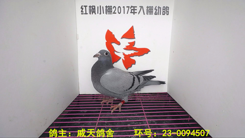 3475 