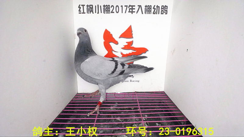 5140 