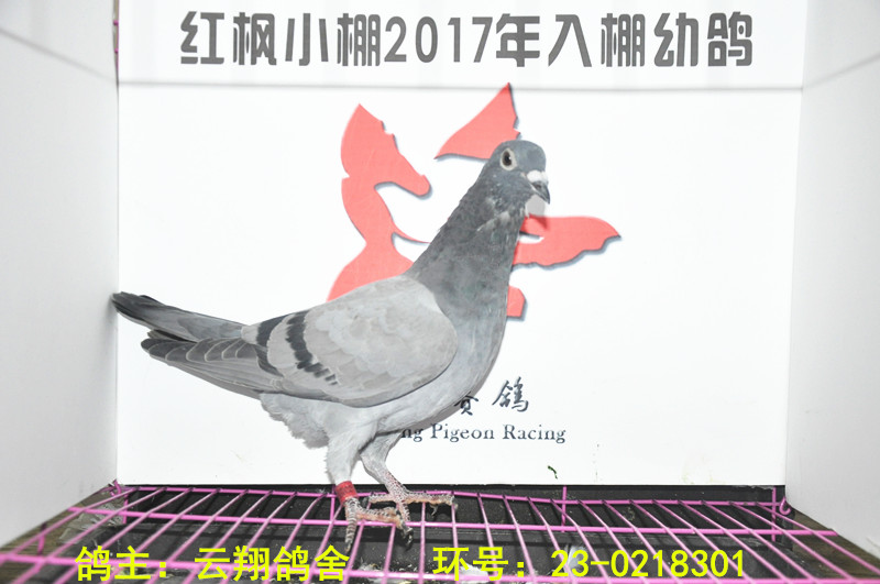 3472 