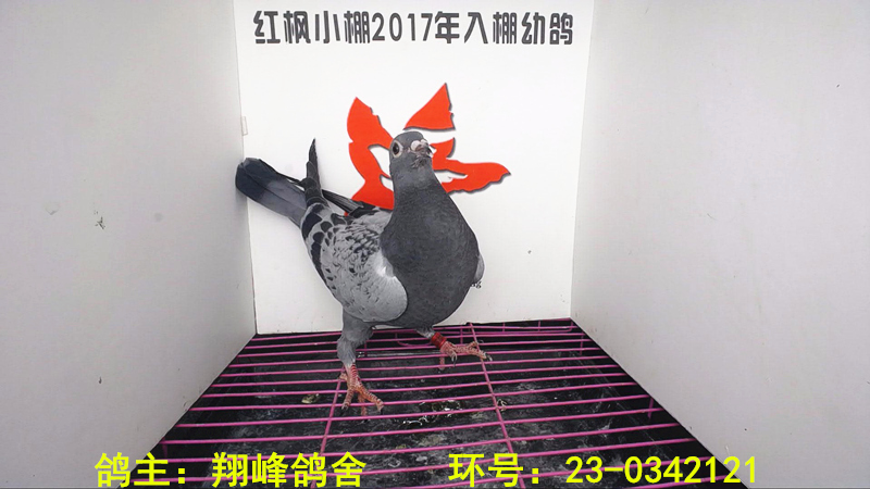 3471 