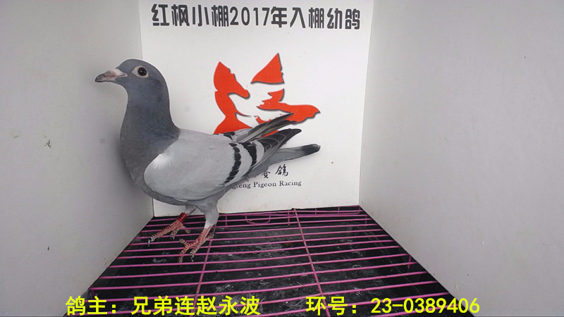 2219 