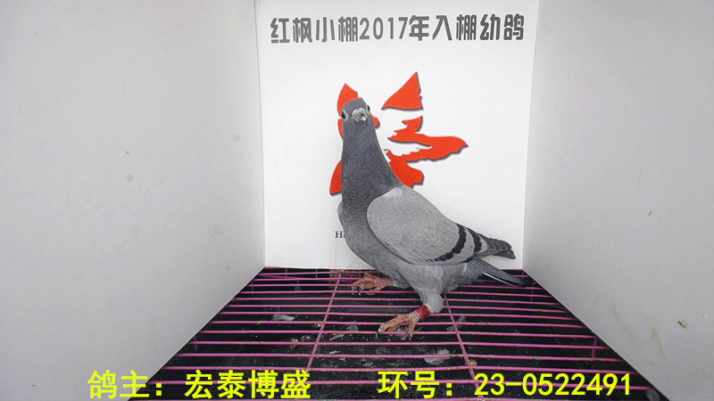 6728 