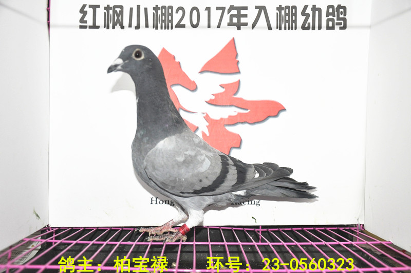 3764 