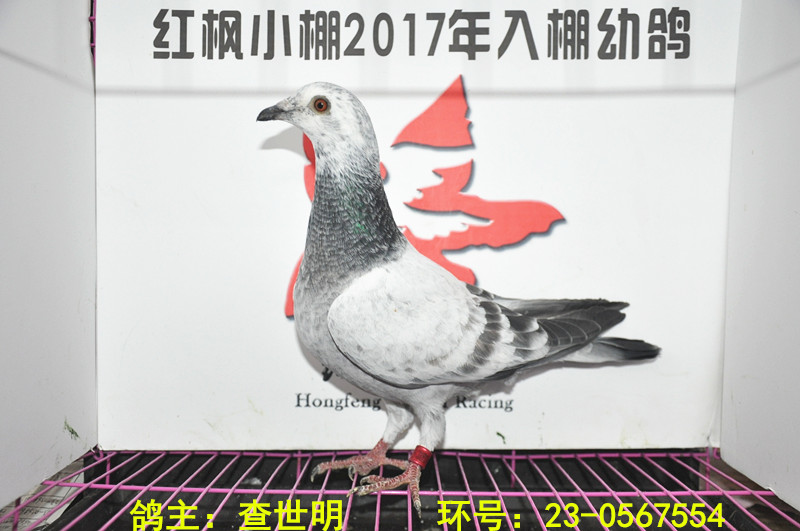4400 