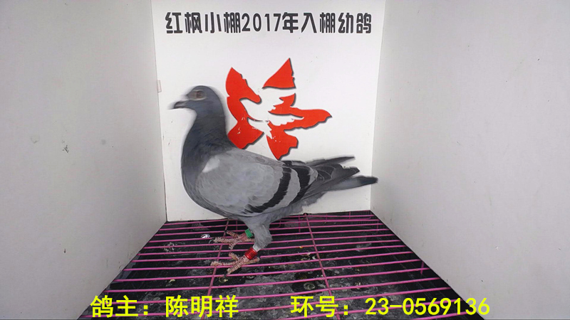 1493 