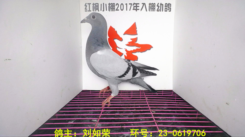 2792 