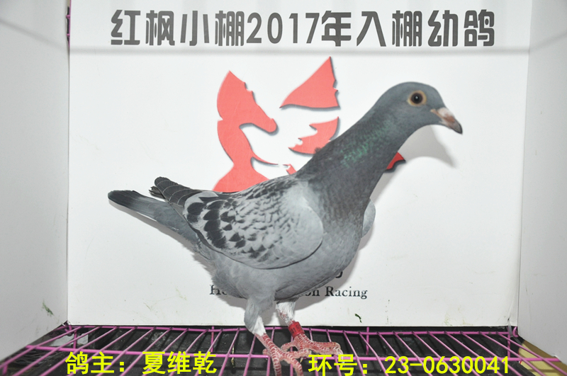 2132 