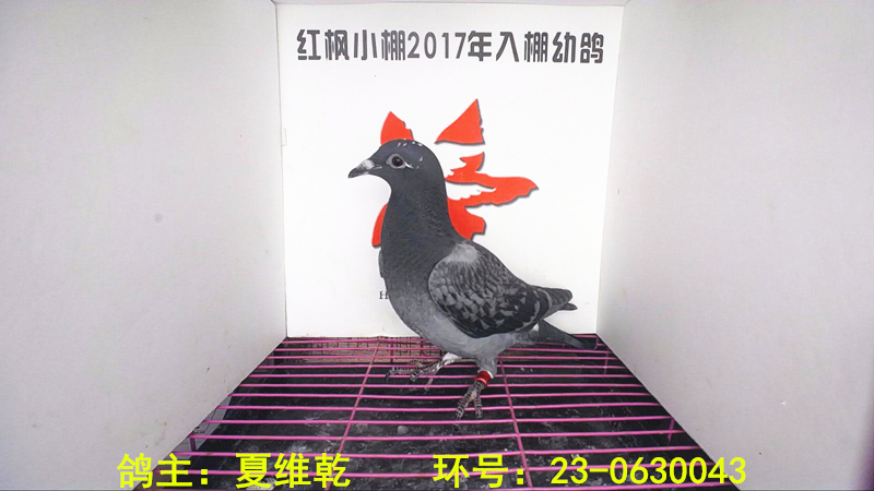 4644 