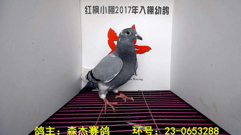 3436 