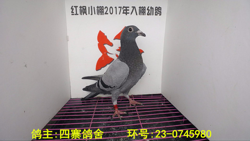3786 