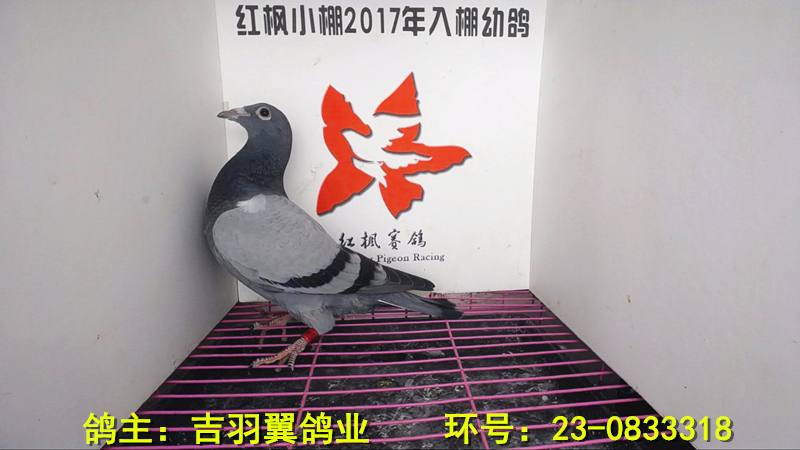 4527 