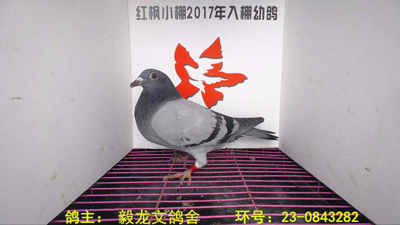 2960 