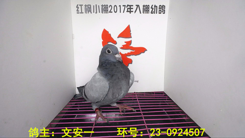 5869 