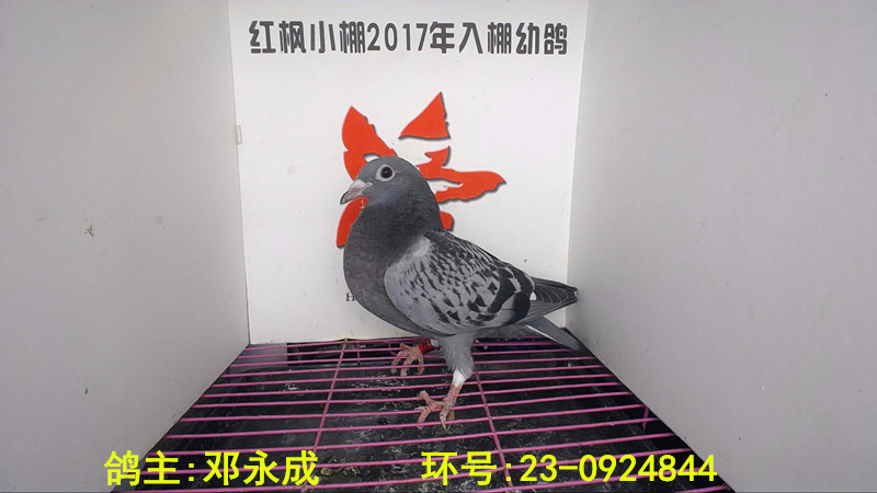 5364 