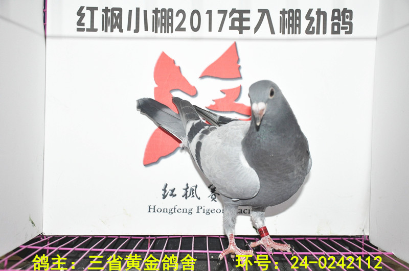 6892 