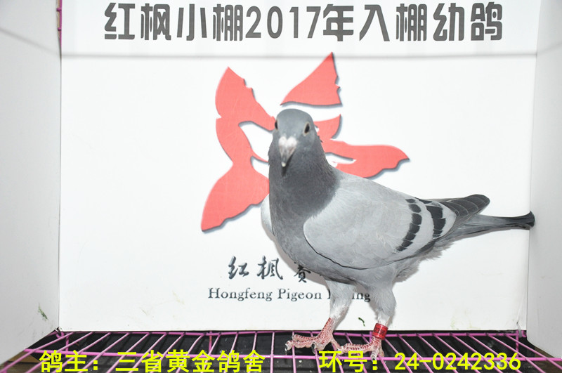 5607 