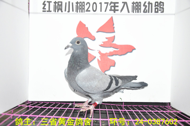 3660 