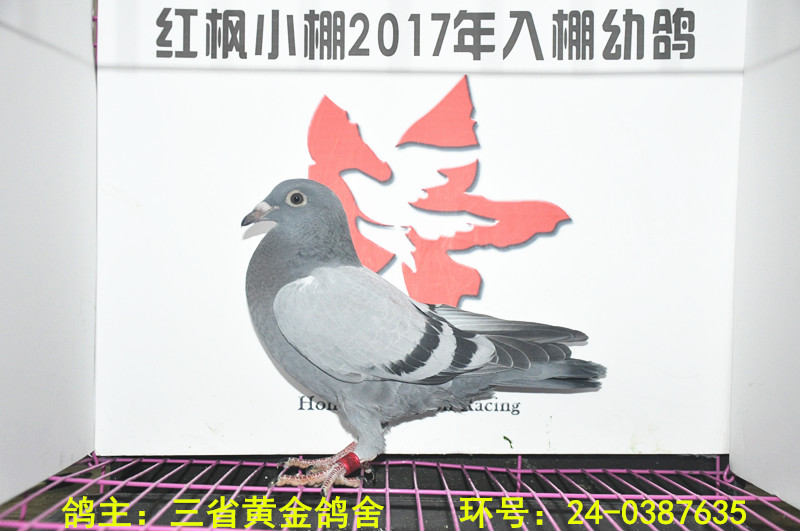 1835 