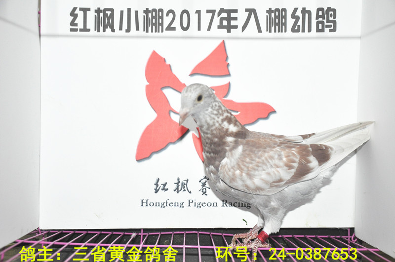 5505 