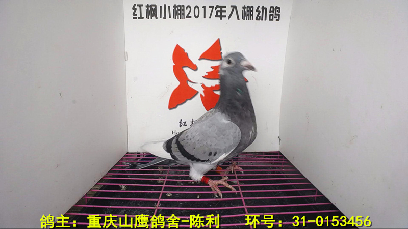5541 
