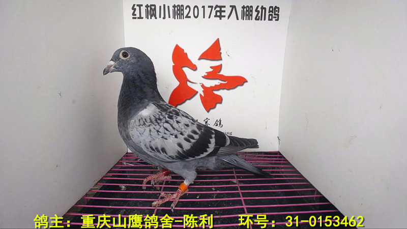 6030 