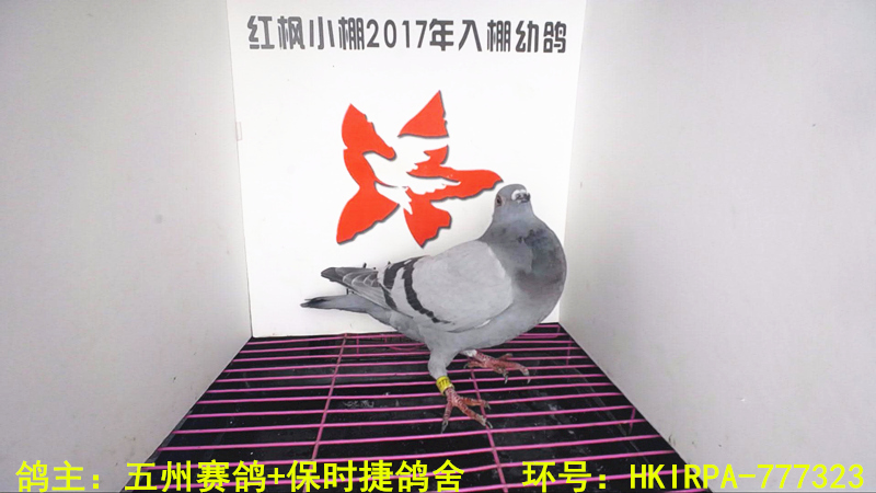 621 