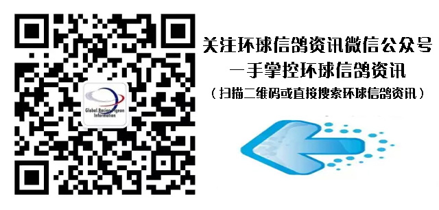《詹森兄弟传奇》连载八