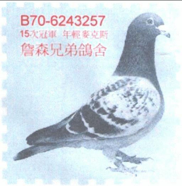詹森兄弟传奇连载三十一