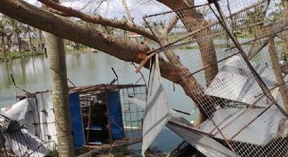 台风中的鸽舍,鸽棚