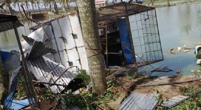 台风中的鸽舍,鸽棚