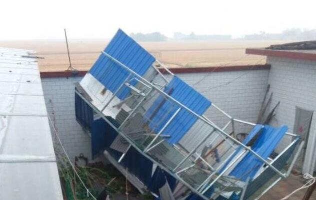 台风中的鸽舍,鸽棚