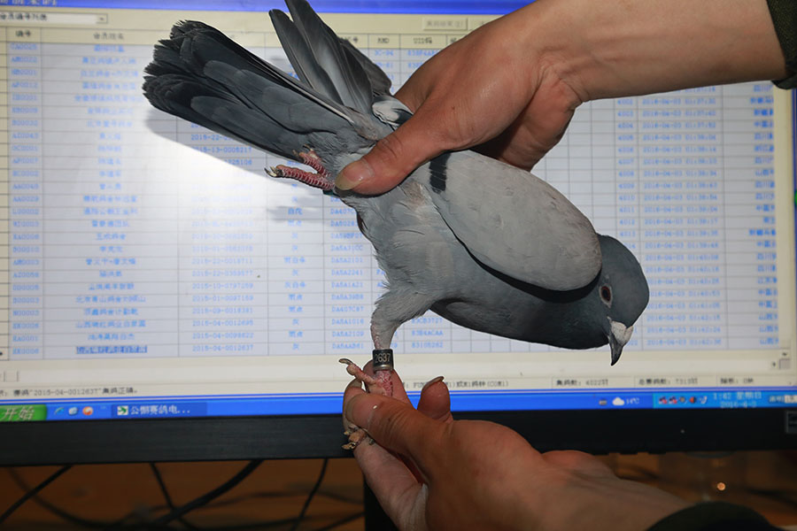 4022 