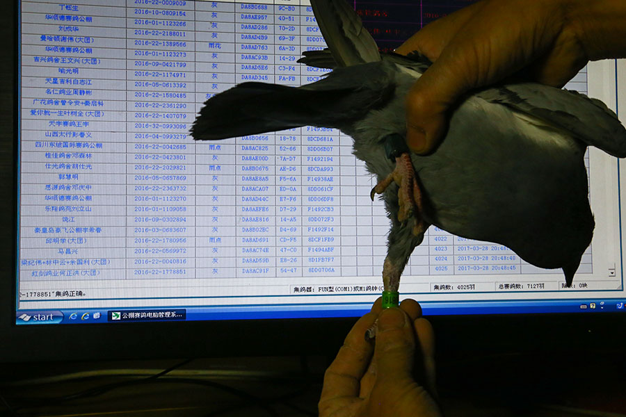 4024 