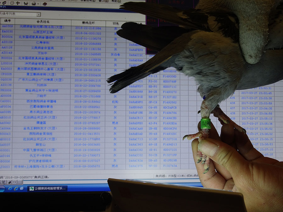 448 