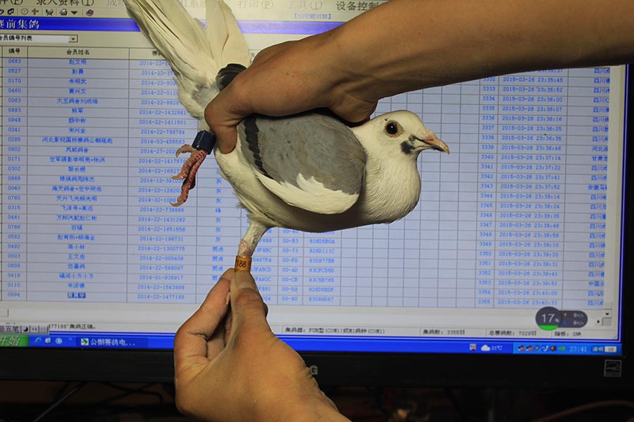 3355 
